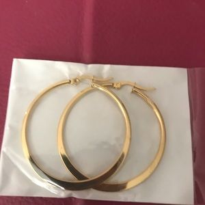 Fashion hoop earrings